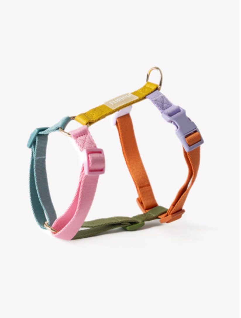 Harnais Rainbow - Multicolor - Furlou