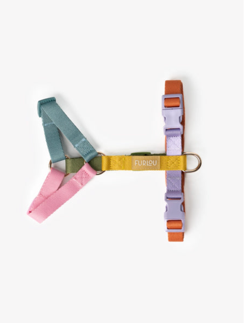 Harnais Rainbow - Multicolor - Furlou