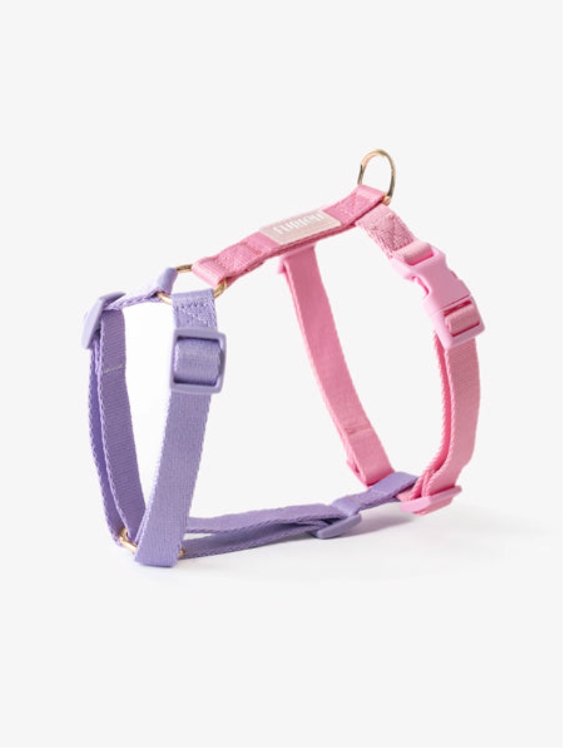 Harnais Rainbow - Rose & Violet - Furlou