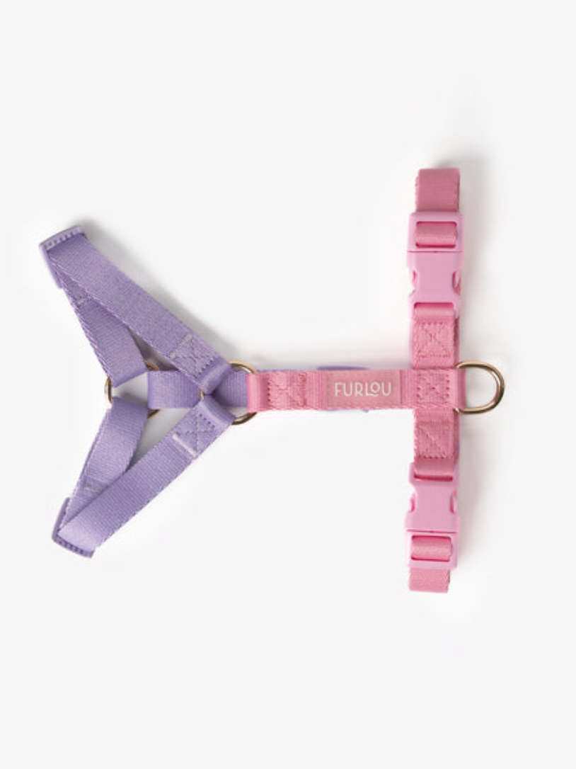 Harnais Rainbow - Rose & Violet - Furlou