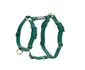 Harnais waterproof - Vert - Sunny Tails
