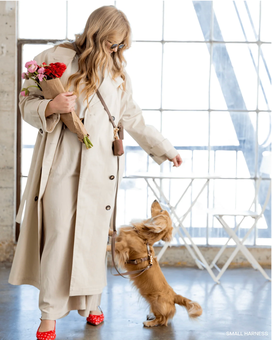 Harnais waterproof  - Marron - Sunny Tails