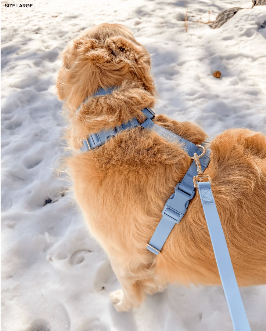 Harnais waterproof  - Bleu polaire - Sunny Tails