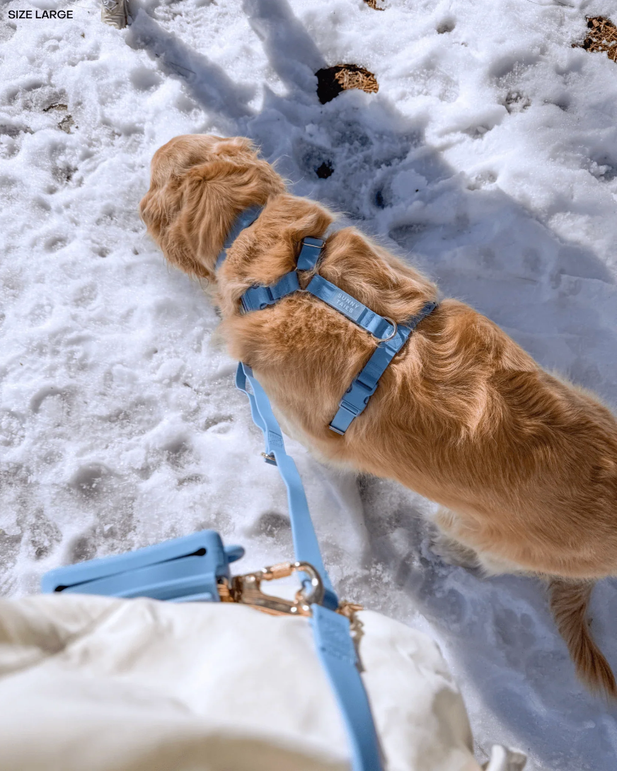 Harnais waterproof  - Bleu polaire - Sunny Tails