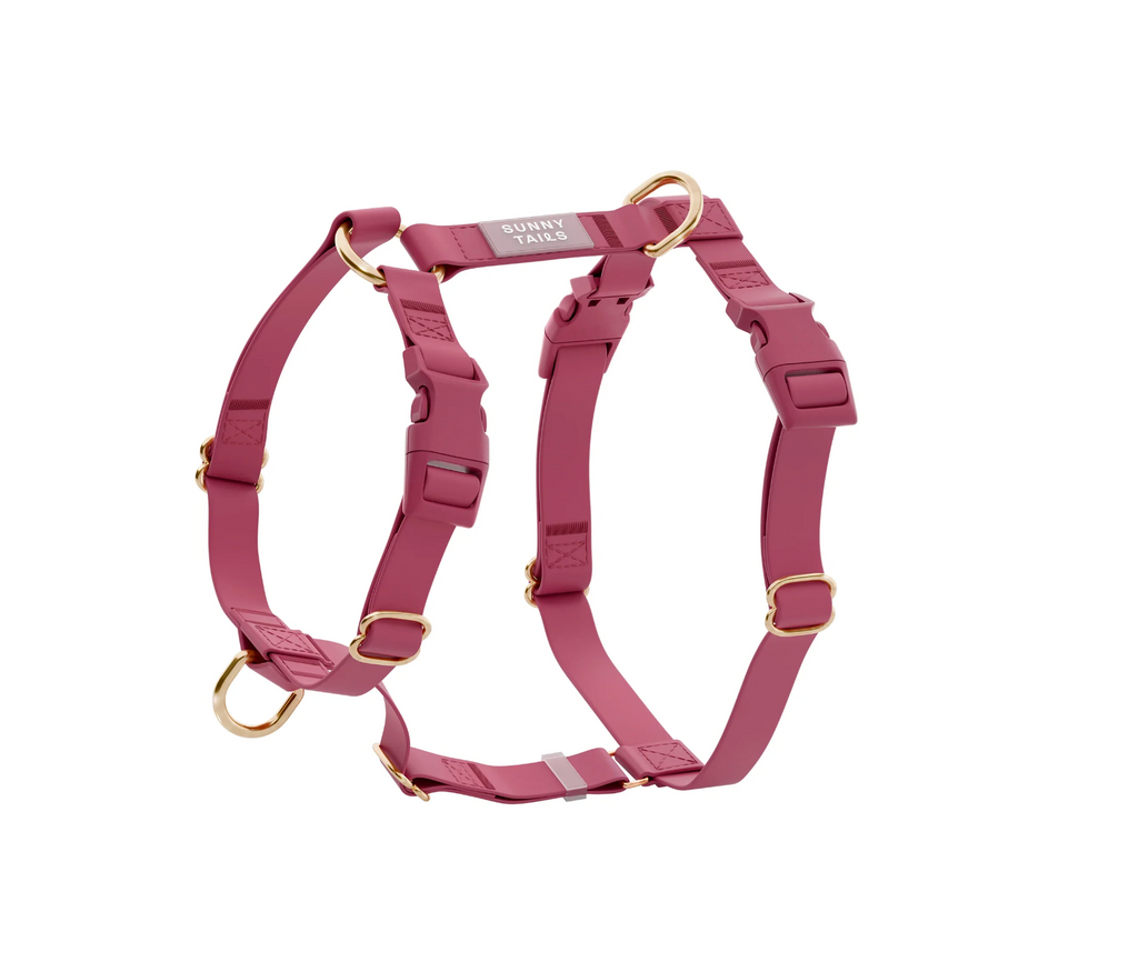 Harnais waterproof  - Framboise - Sunny Tails