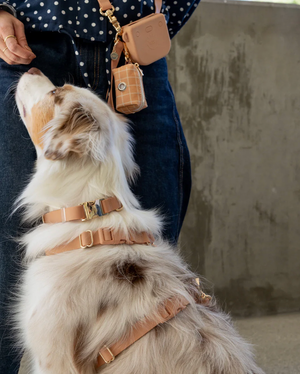 Harnais waterproof  - Sable - Sunny Tails