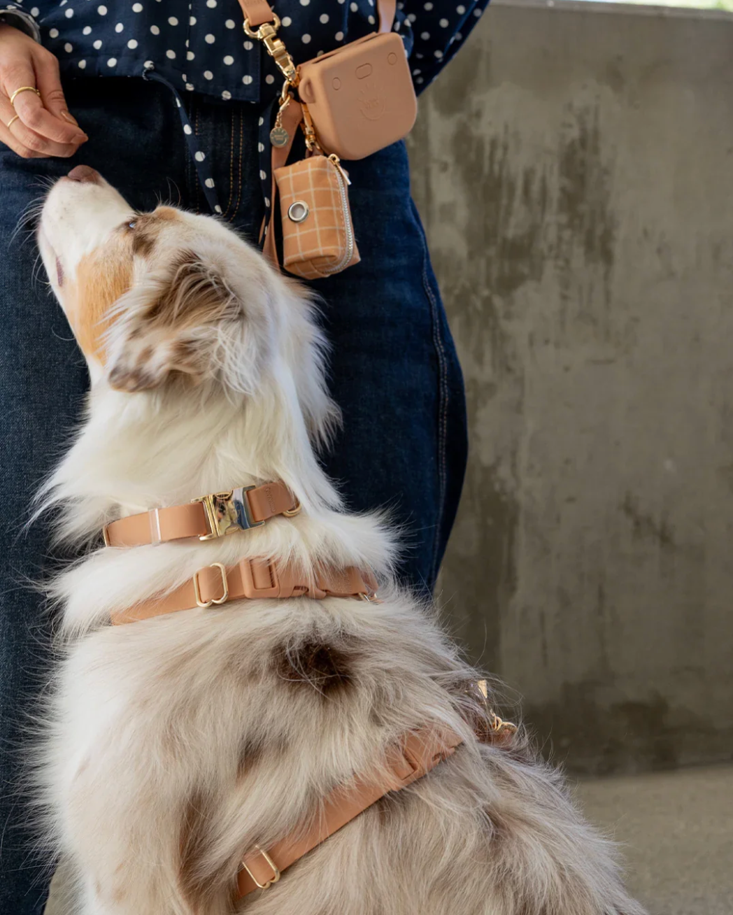 Harnais waterproof  - Sable - Sunny Tails