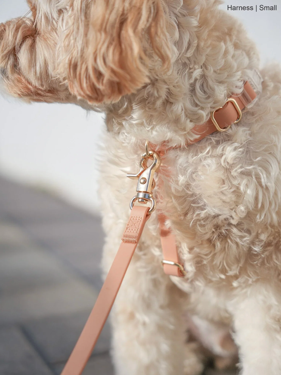 Harnais waterproof  - Sable - Sunny Tails