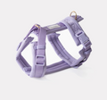 Harnais confort velours - Violet - Furlou