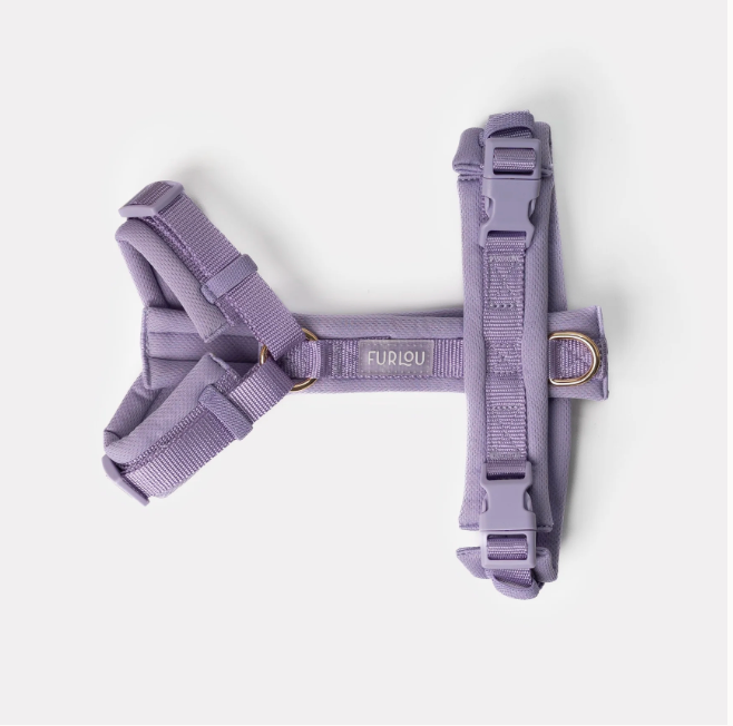 Harnais confort velours - Violet - Furlou