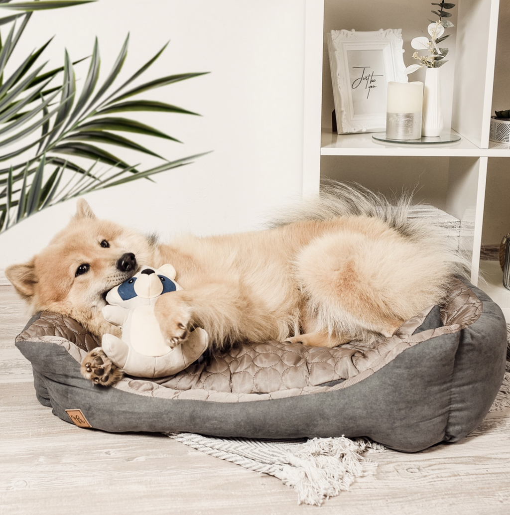 Jouet pour chien robuste – Raton laveur Wally - Ne&No