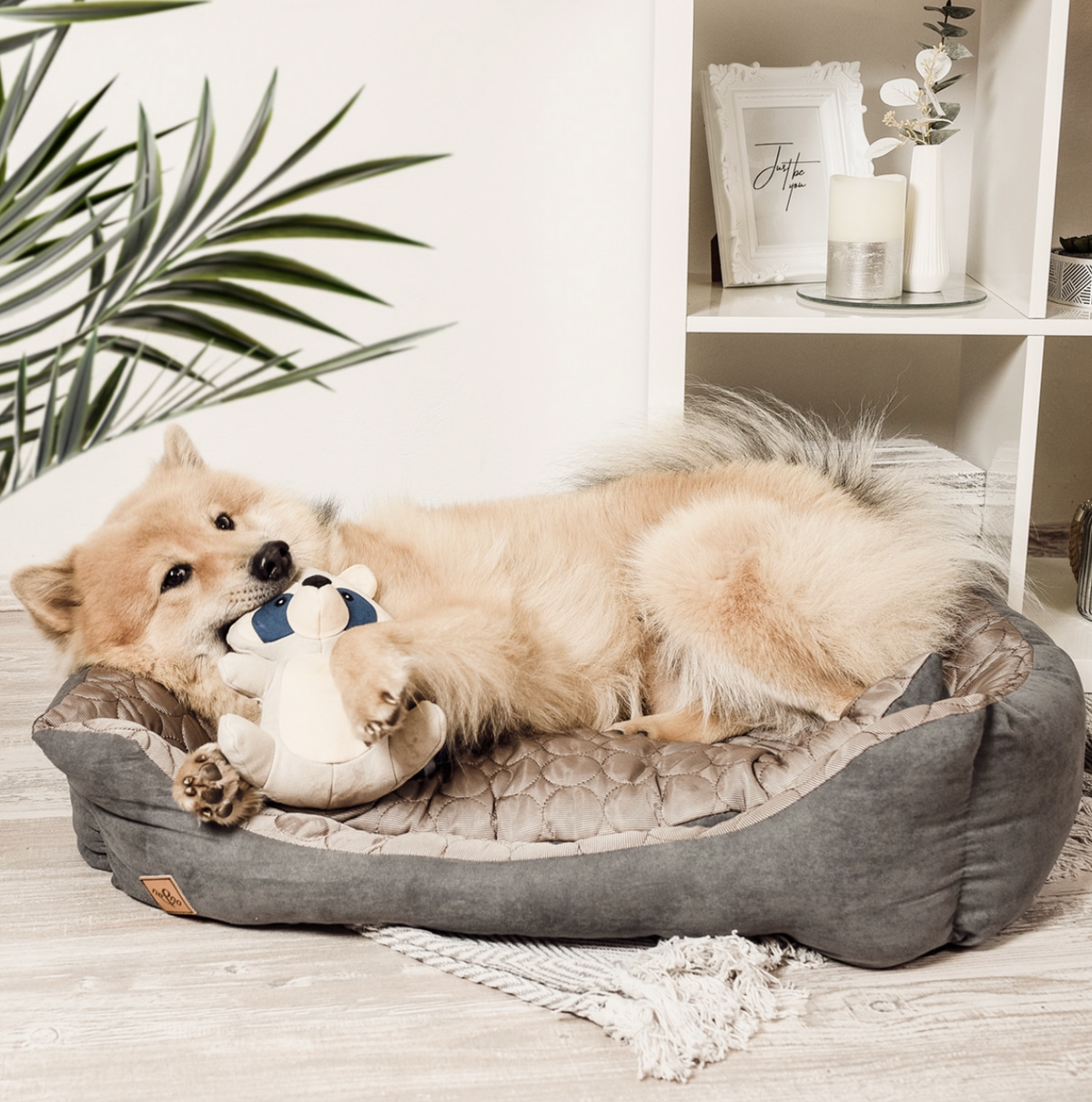 Jouet pour chien robuste – Raton laveur Wally - Ne&No