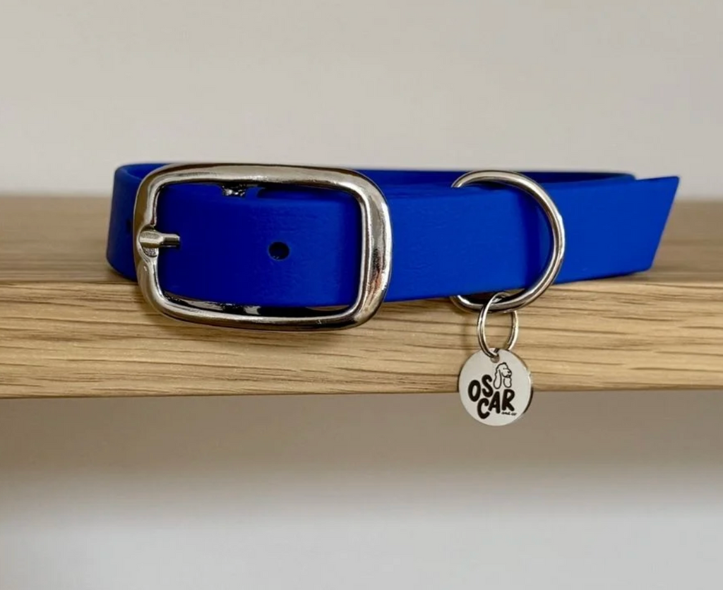 Collier chien - Bleu rois - Oscar & co