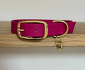 Collier chien - Magenta - Oscar & co