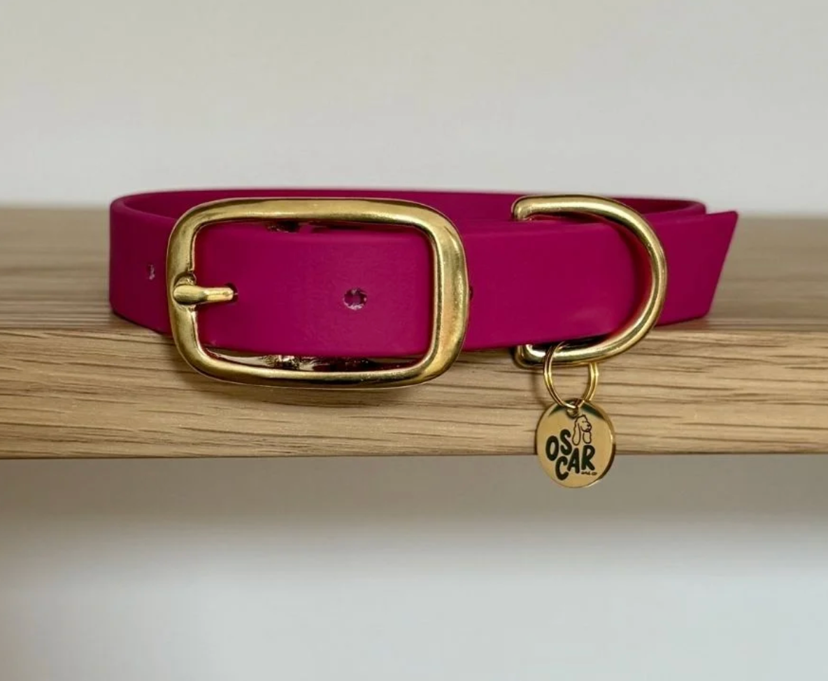 Collier chien - Magenta - Oscar & co