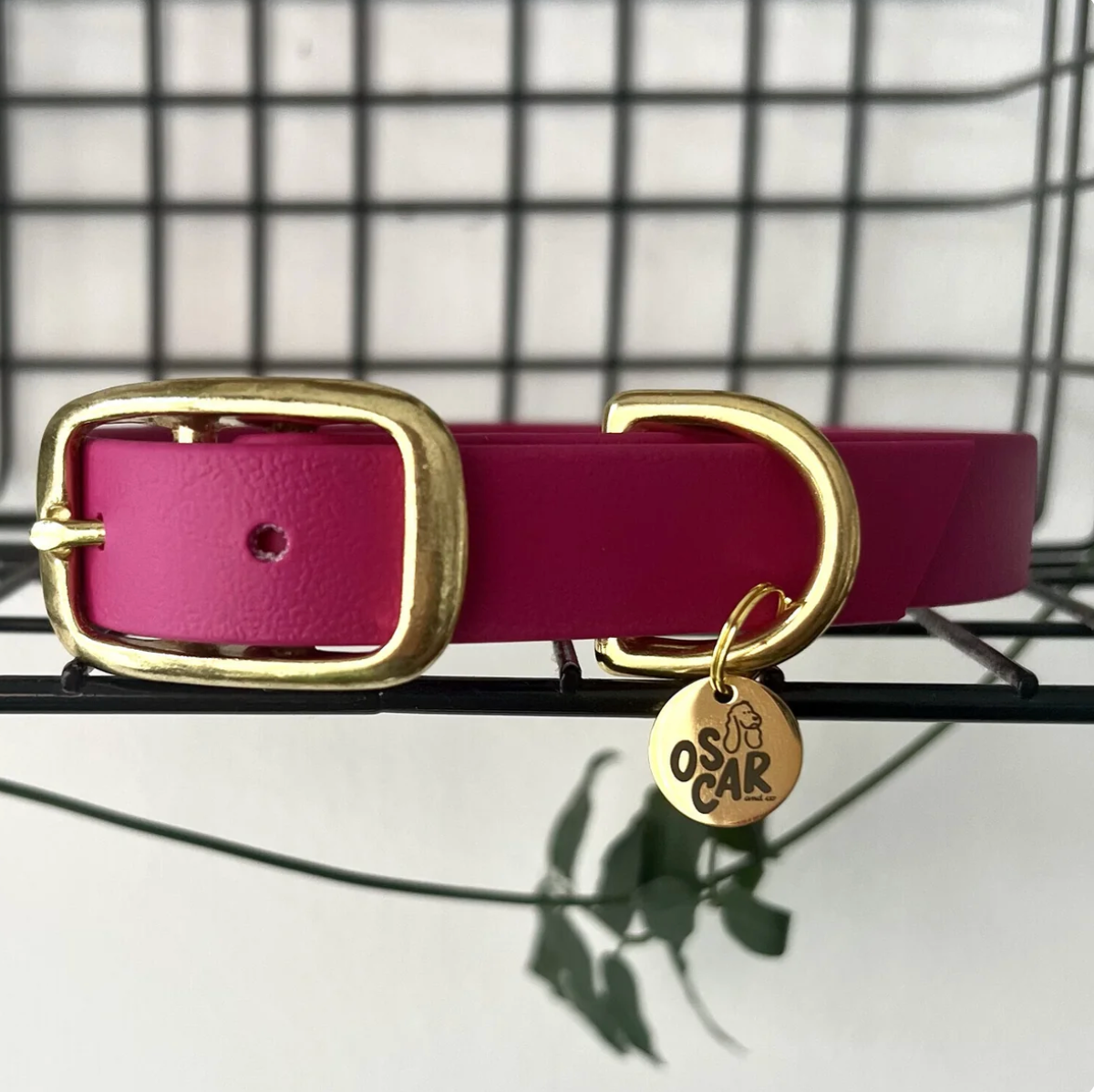 Collier chien - Magenta - Oscar & co