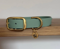 Collier chien - Sauge - Oscar & co