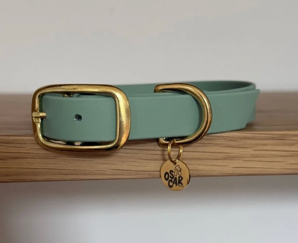 Collier chien - Sauge - Oscar & co
