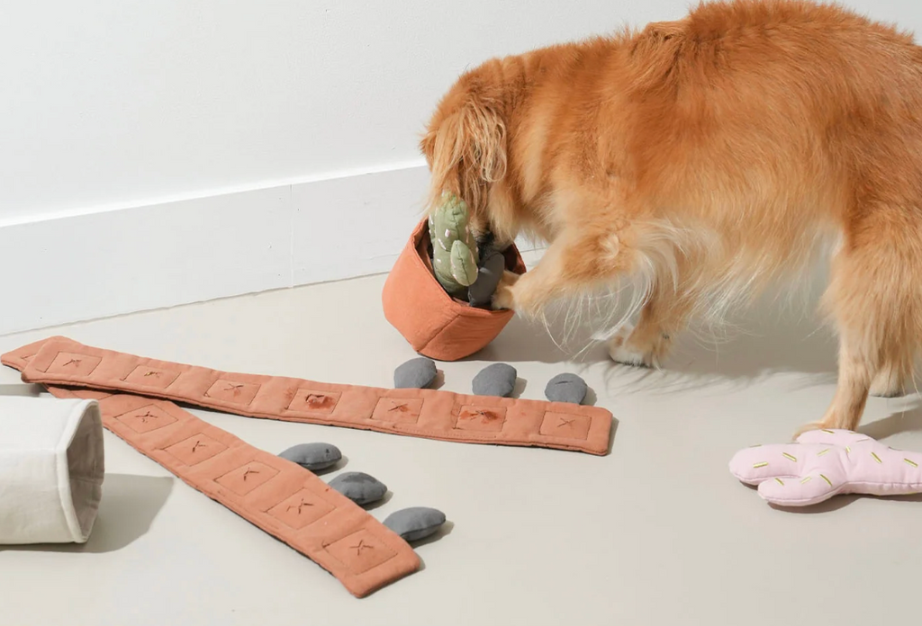 Jouet de fouille cactus - Puppy Gallery