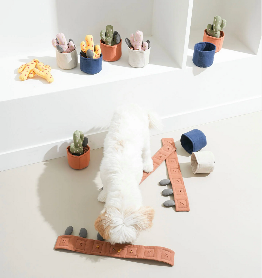Jouet de fouille cactus - Puppy Gallery