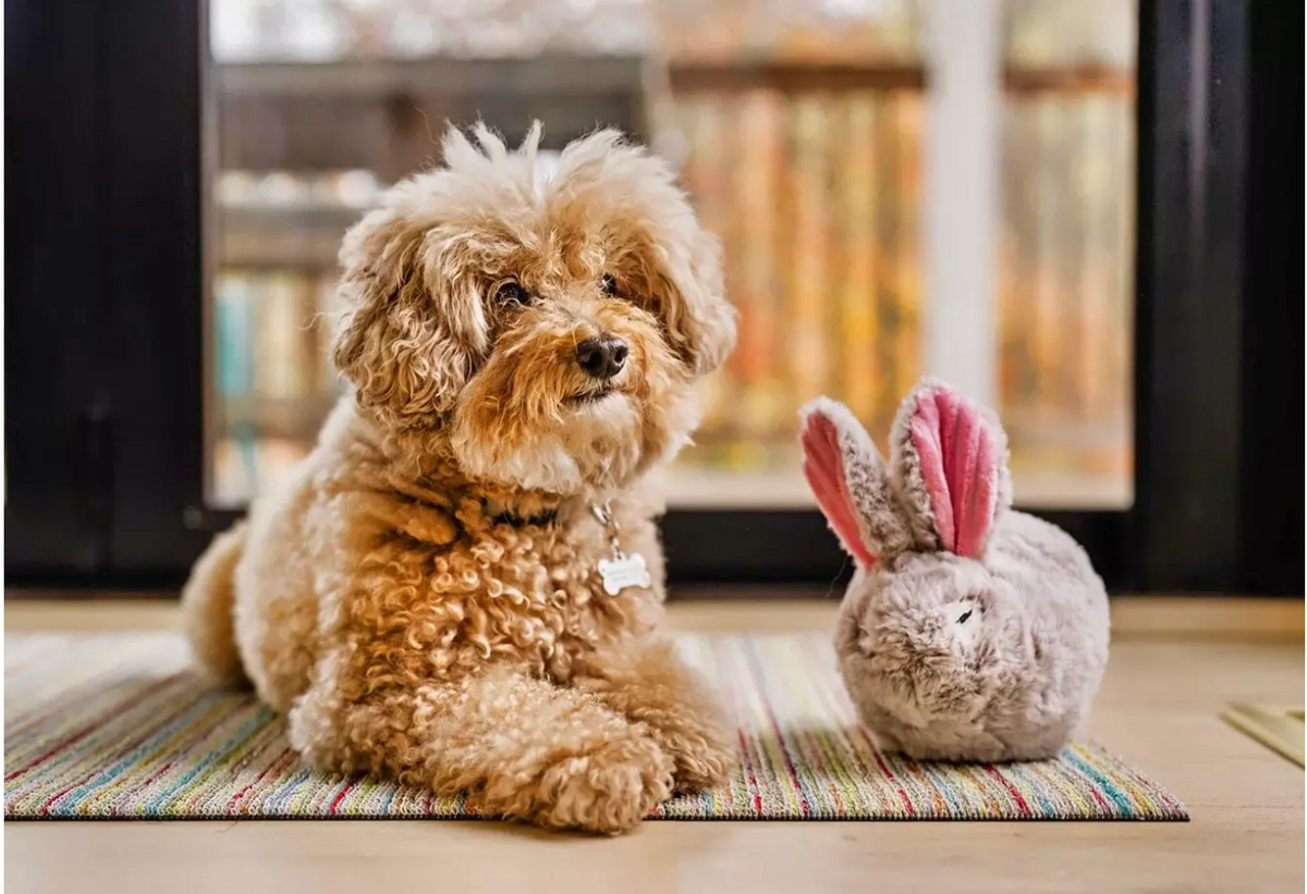 Peluche lapin Forest Friends - P.L.A.Y.