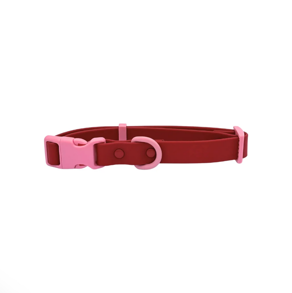 Collier chien - rouge - Approuved by Fritz