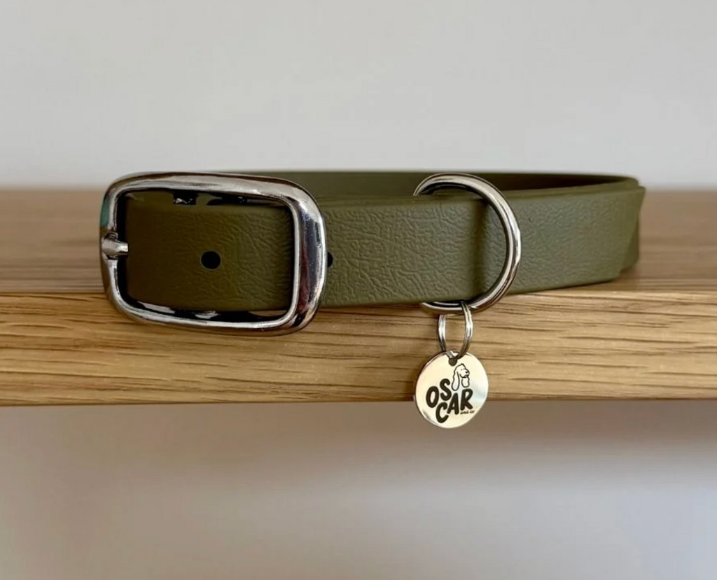 Collier chien - Kaki - Oscar & co