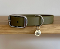 Collier chien - Kaki - Oscar & co