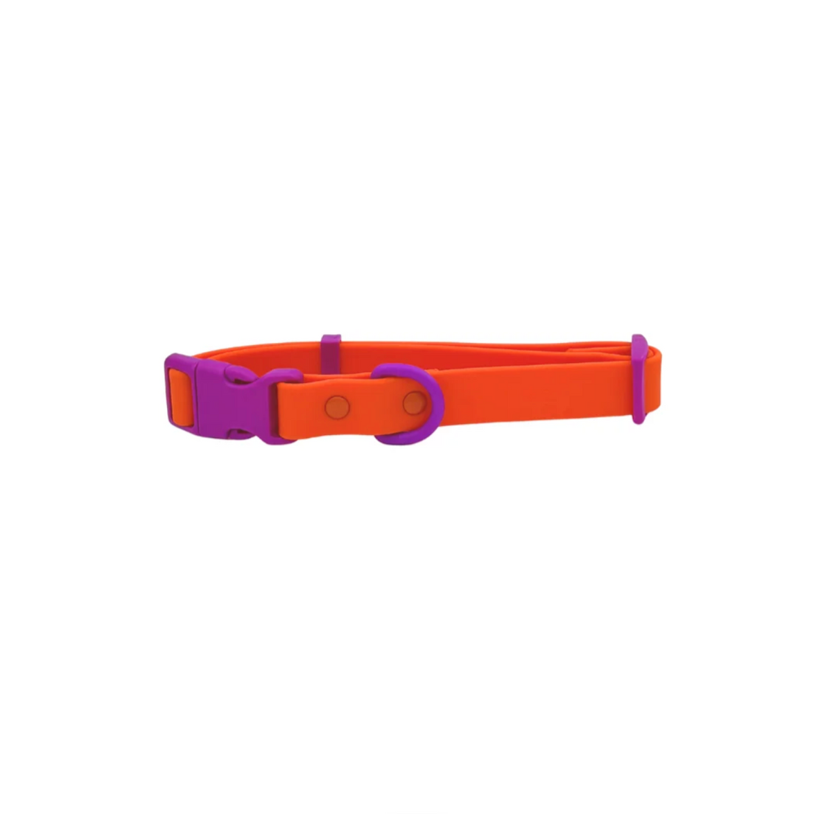 Collier chien - orange - Approuved by Fritz
