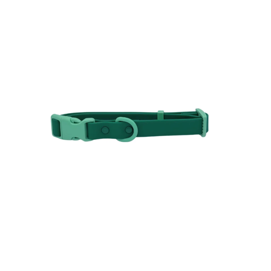 Collier chien - vert - Approuved by Fritz