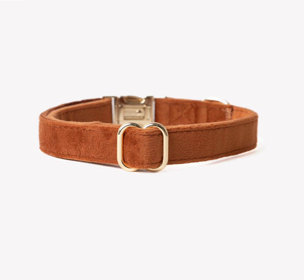 Collier chien - Velours marron - Furlou