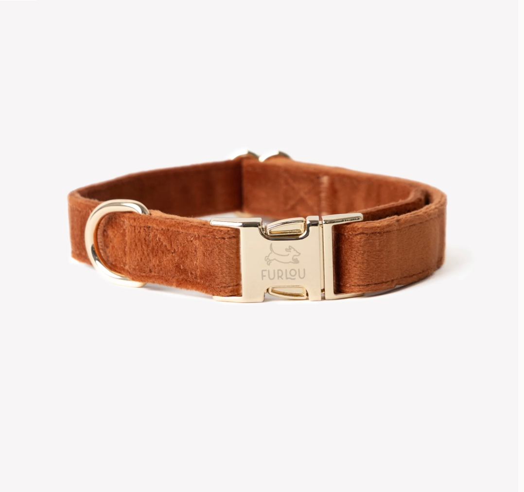 Collier chien - Velours marron - Furlou