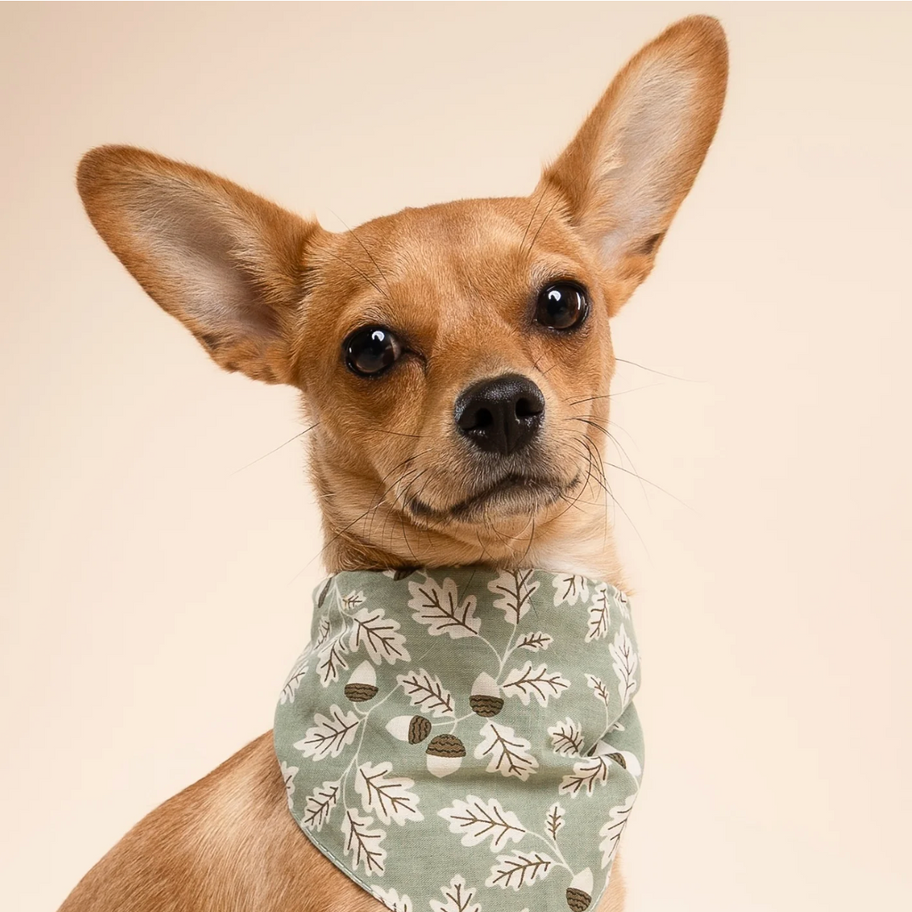 Bandana pour chien -  Forêt vert - The Paws