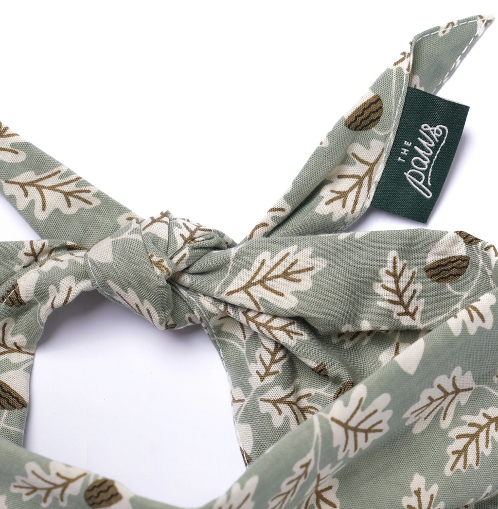 Bandana pour chien -  Forêt vert - The Paws
