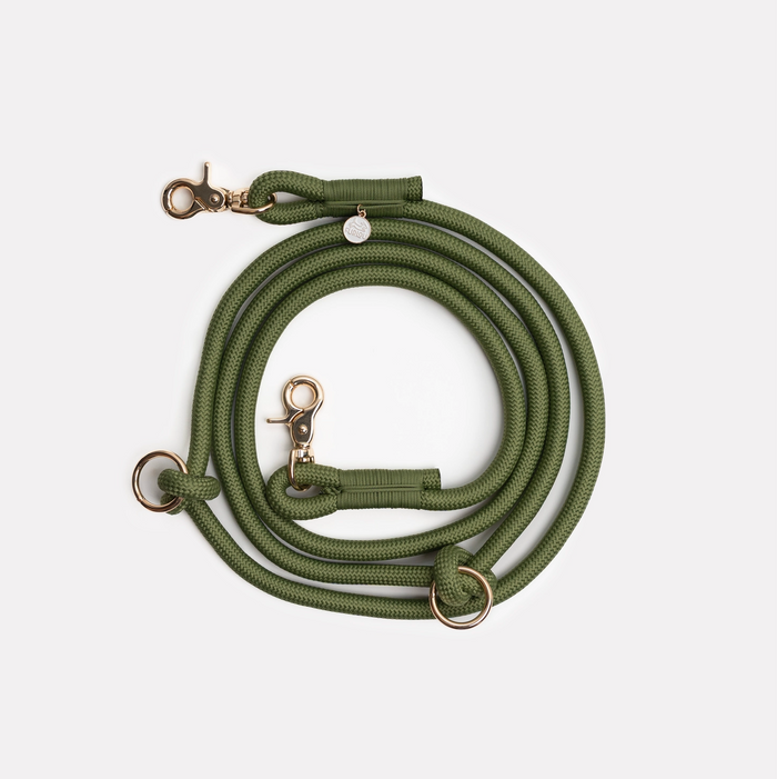 Laisse tressée mains libres - Vert - Furlou