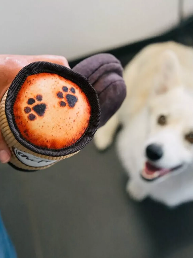 Pup Cup Café – P.L.A.Y