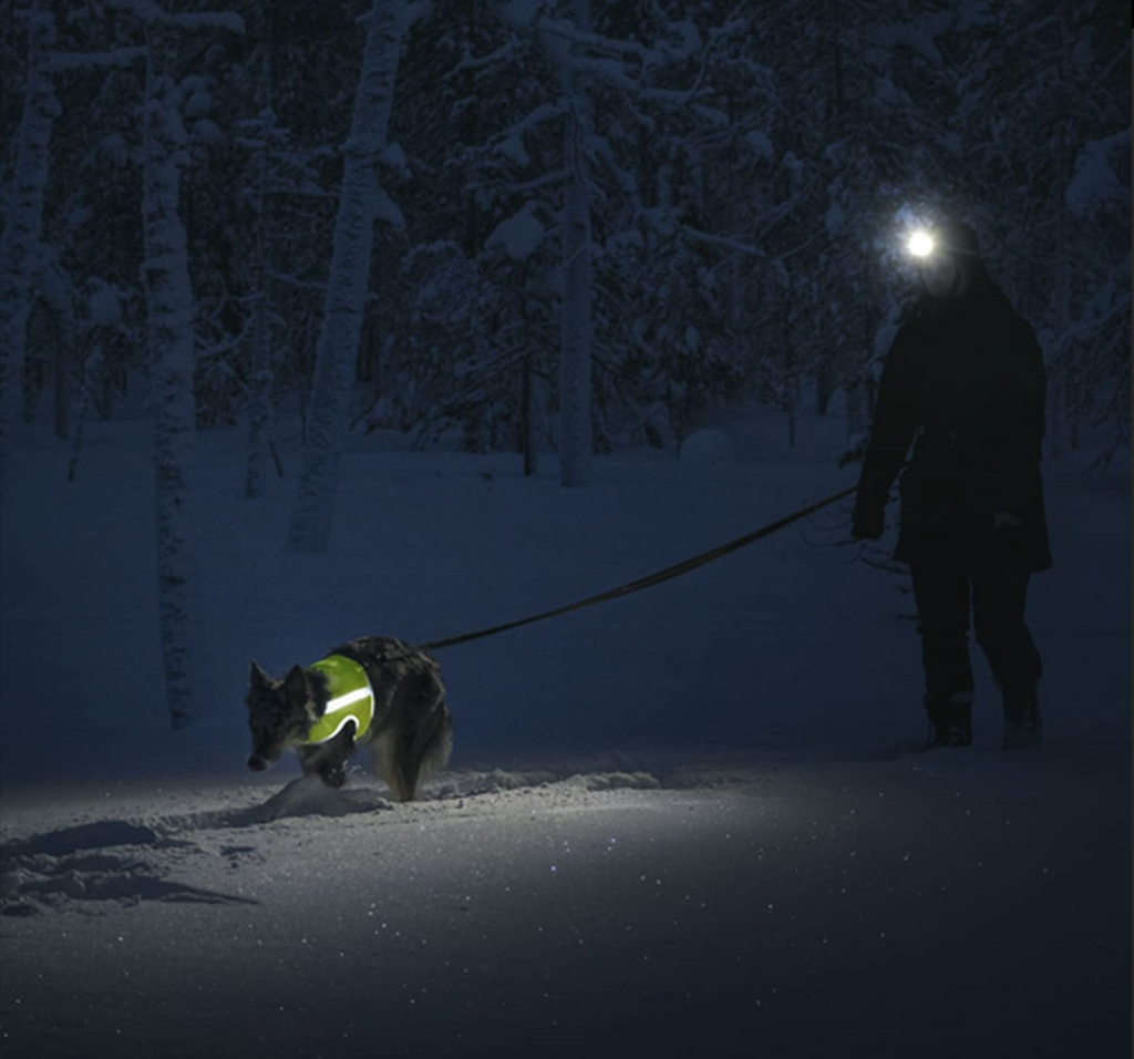 Gilet fluo chien – Finnero ATTE