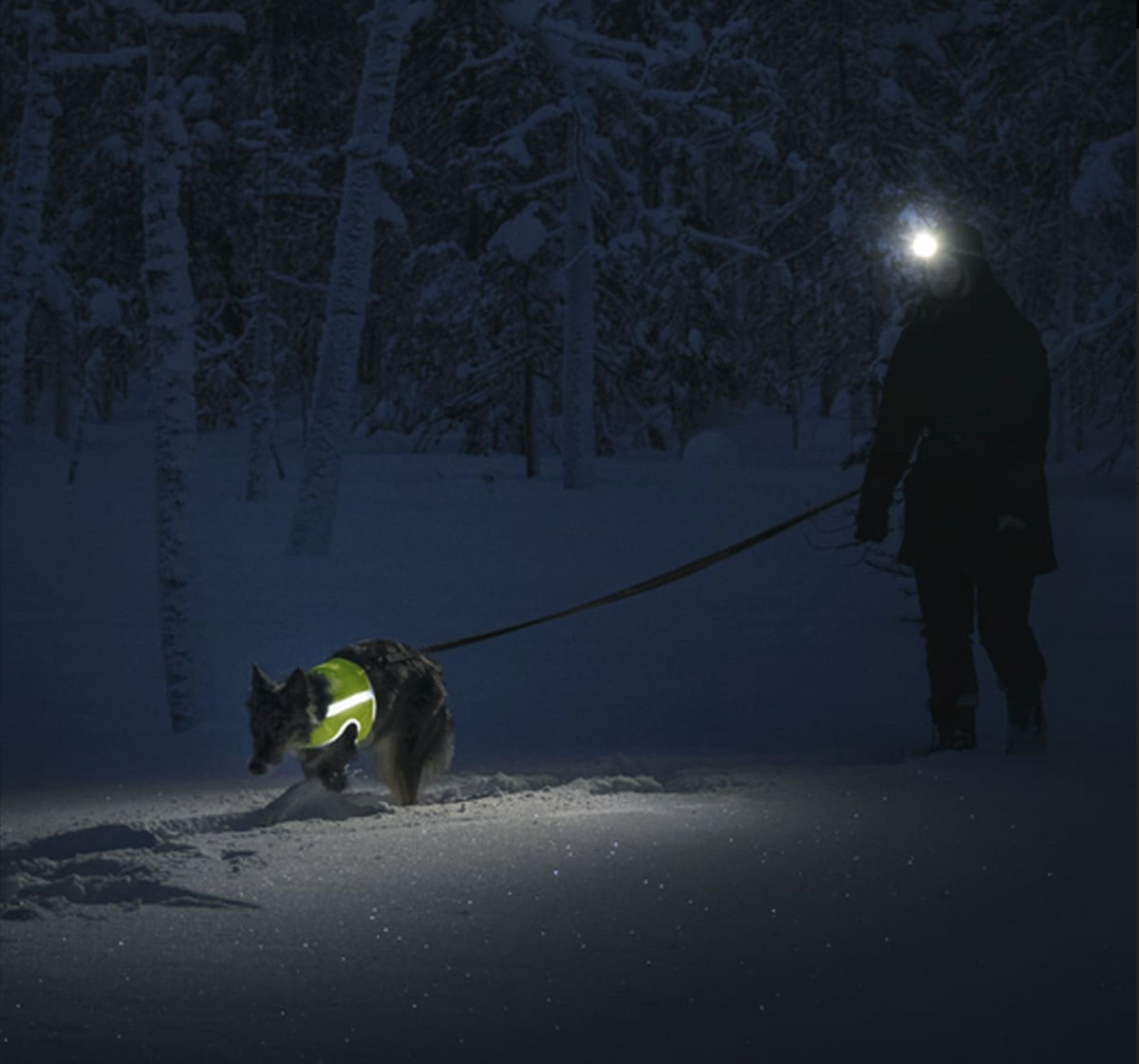 Gilet fluo chien – Finnero ATTE