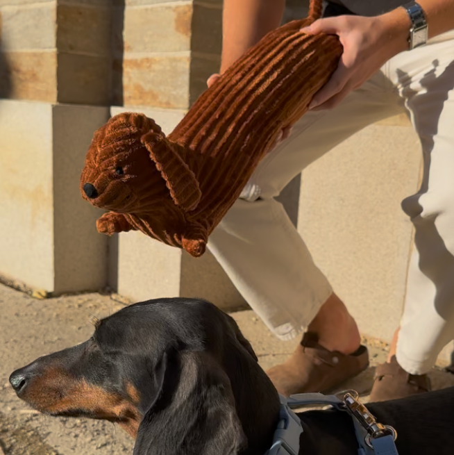 Coussin chien Teckel confort - Biche Dogshop