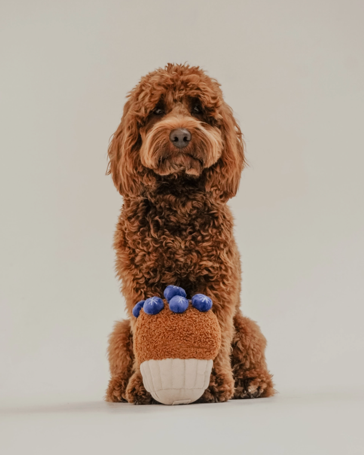 Jouet muffin aux myrtilles - By Teddy