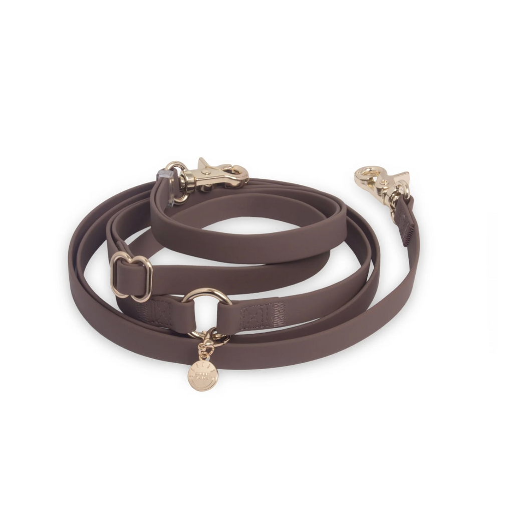 Laisse mains libres 4-en-1 – Marron – 1,5 cm – Sunny Tails