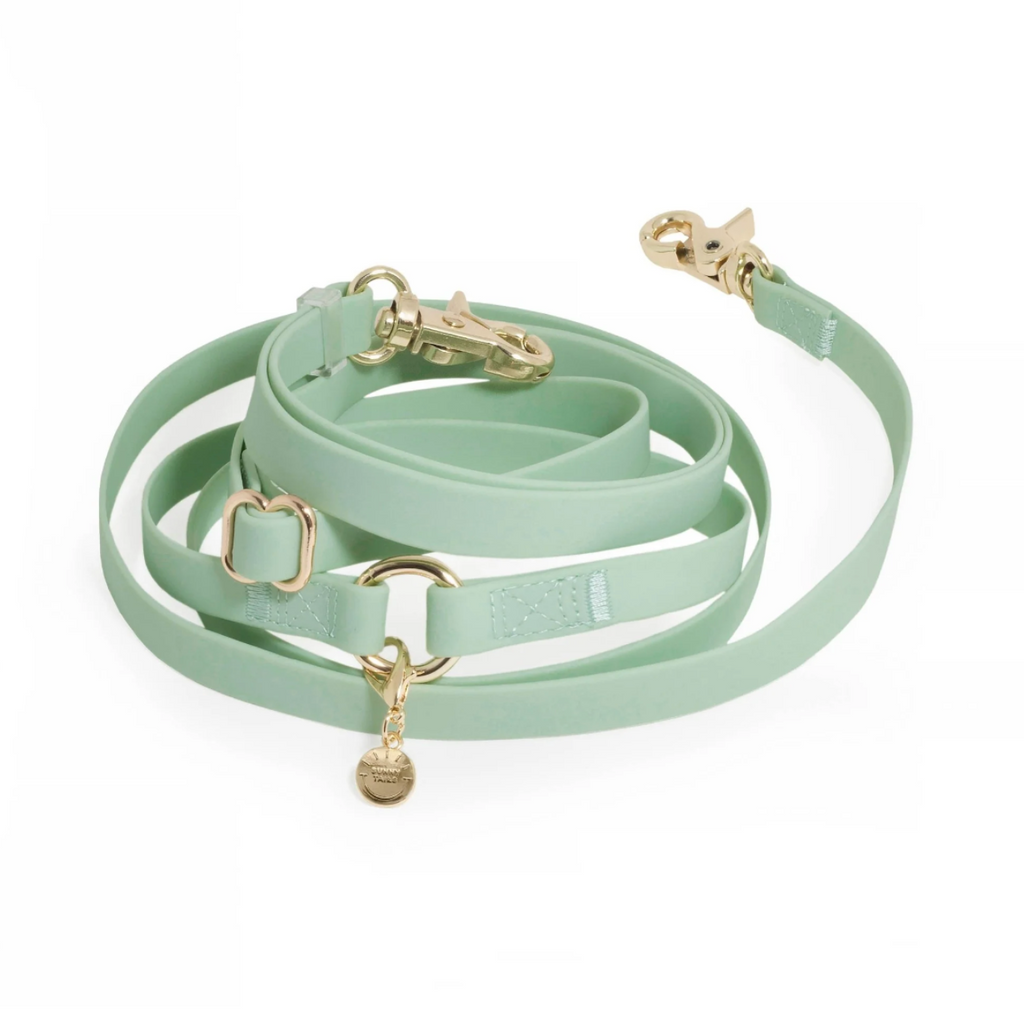 Laisse mains libres 4-en-1 – Vert Pistache – 2 cm – Sunny Tails