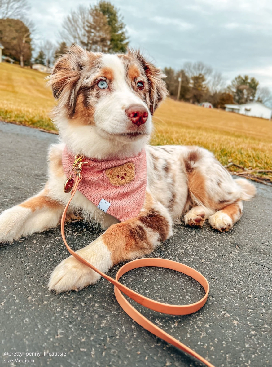 Laisse simple waterproof - Marron clair - Sunny Tails