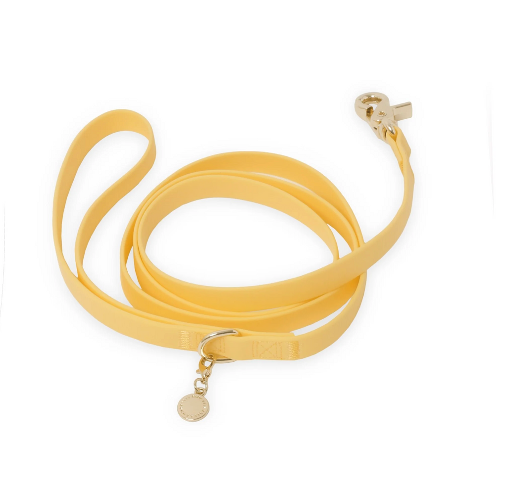 Laisse simple waterproof - Jaune - Sunny Tails