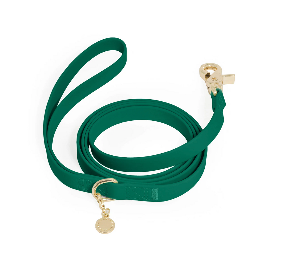 Laisse simple waterproof - Vert - Sunny Tails