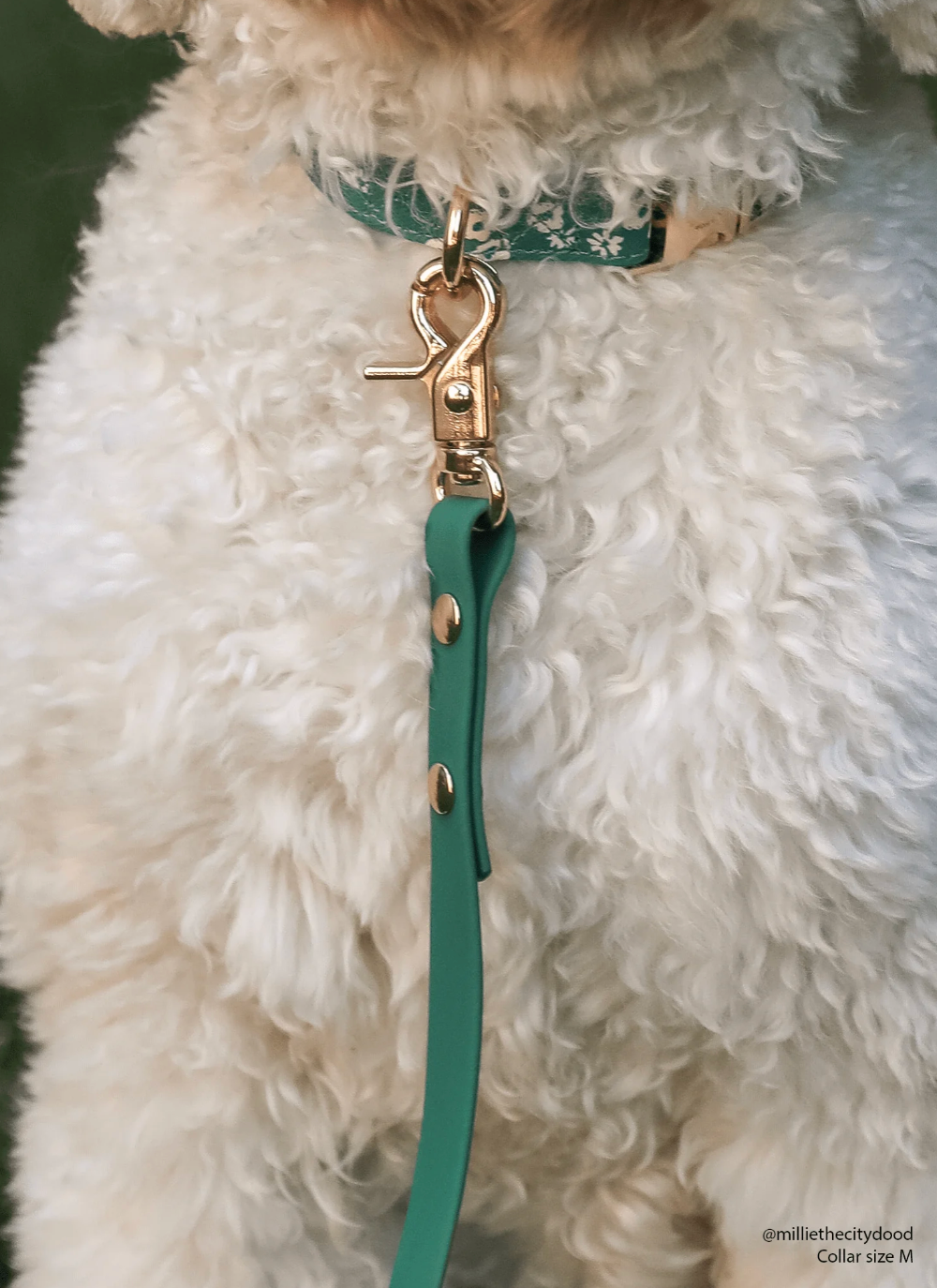 Laisse simple waterproof - Vert - Sunny Tails