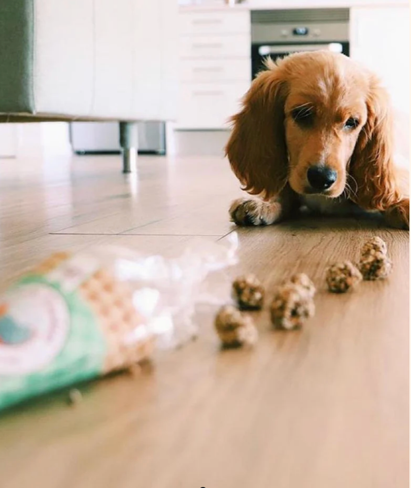Little Kisses - Cooka's Cookies