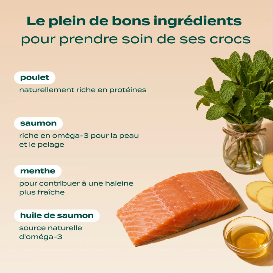 Biscroc', saumon & menthe  - Franklin