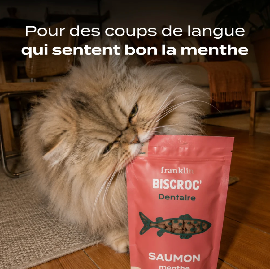 Biscroc', saumon & menthe  - Franklin