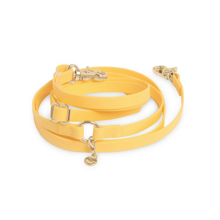 Laisse mains libres 4-en-1 – Jaune – 2 cm – Sunny Tails